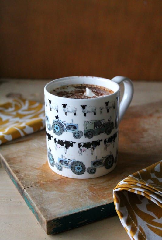 Two-ingredient soy milk hot chocolate